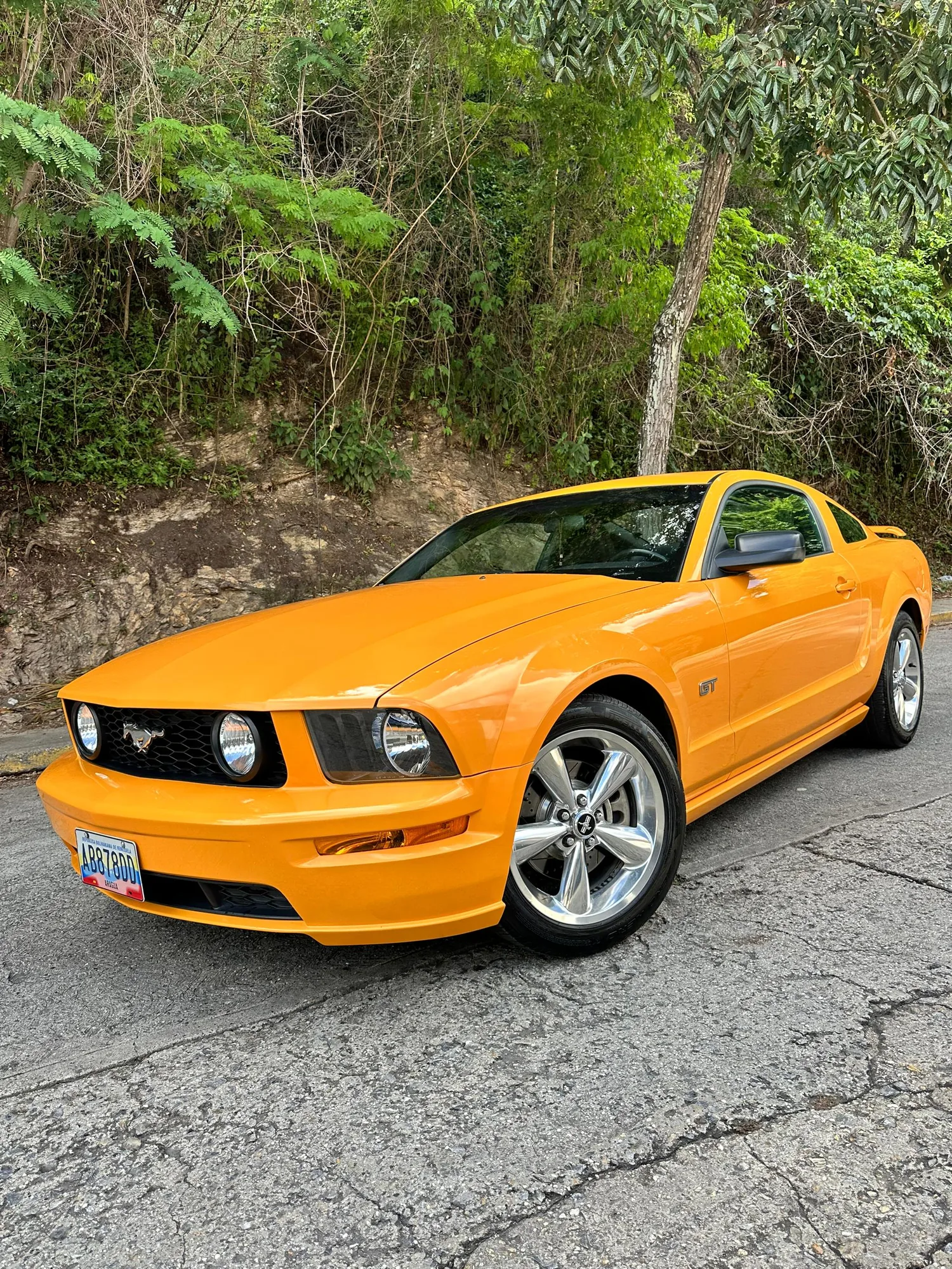 Coupé Ford Mustang GT 2008 GT en Los Roques