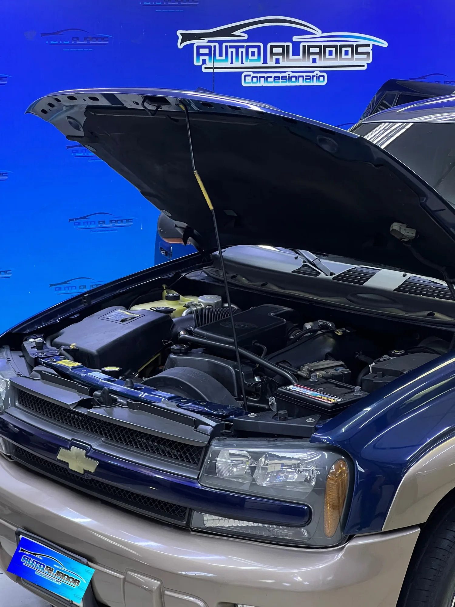 Camioneta Chevrolet Trailblazer 2002 Trailblazer en Caracas — foto 11