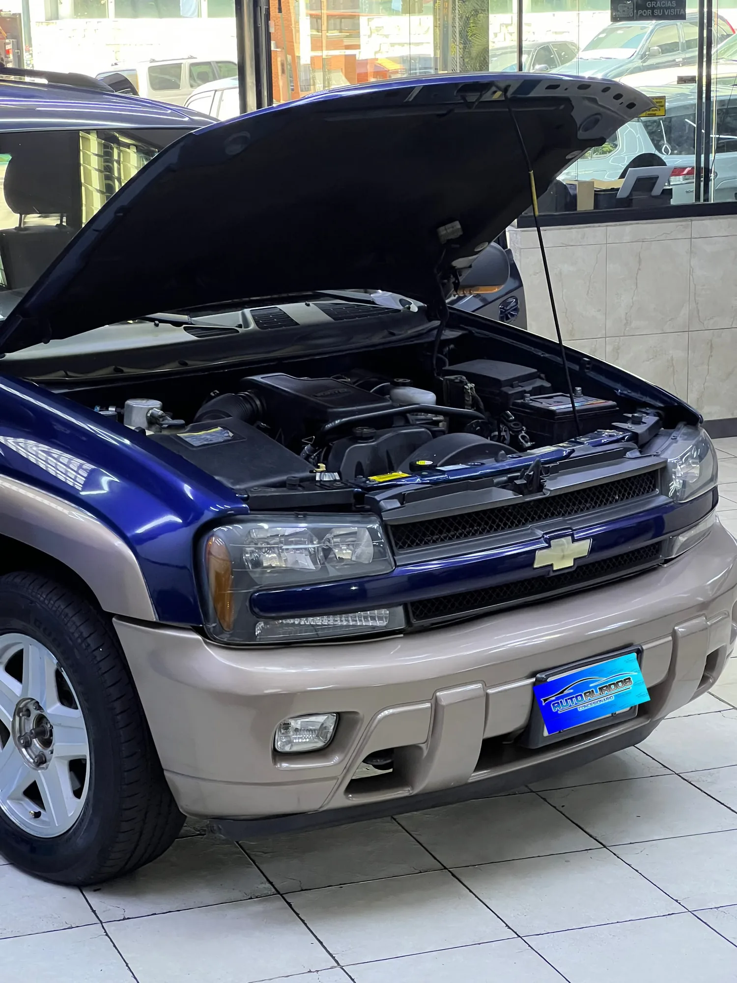 Camioneta Chevrolet Trailblazer 2002 Trailblazer en Caracas — foto 12