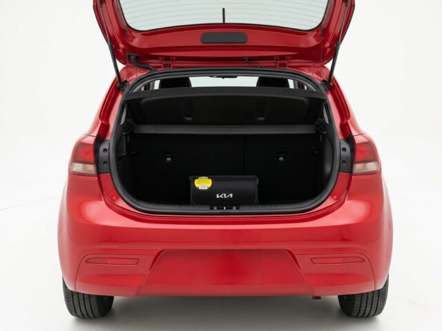 Kia Rio 2024 Vibrant