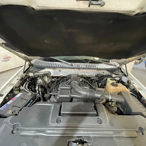 Ford Expedition 2008 Blanco San Antonio