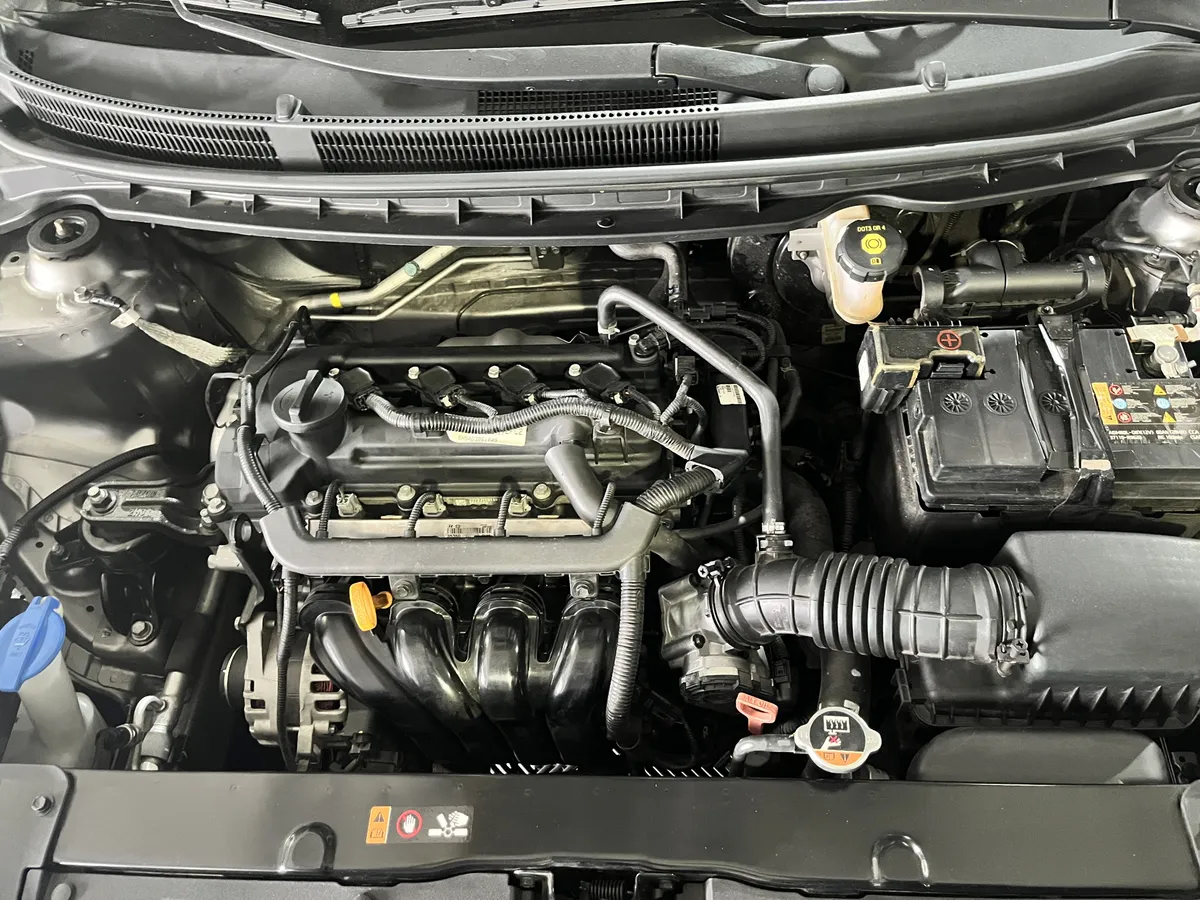 Kia Pegas Sedán 2023 gris1