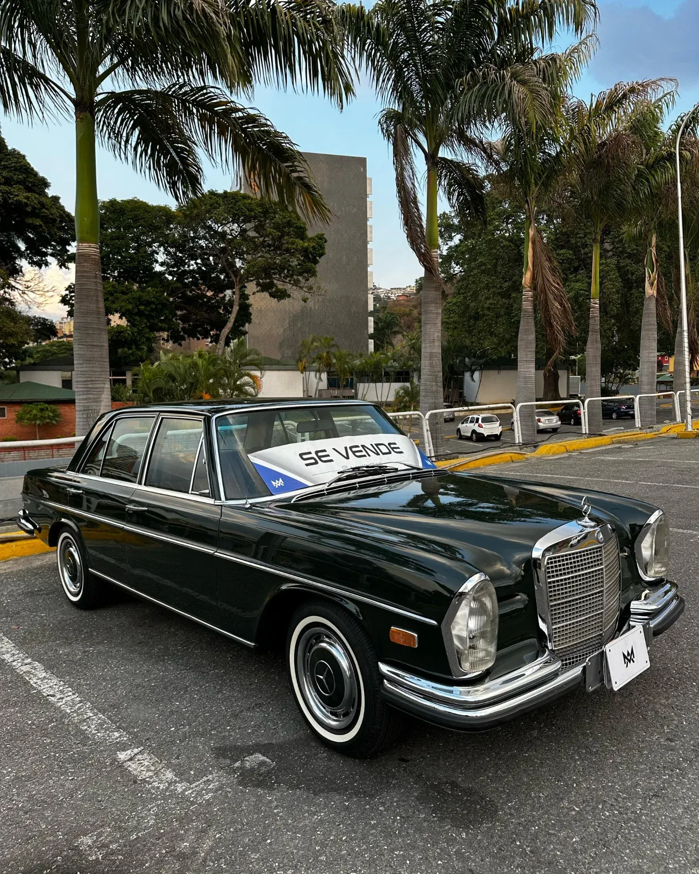 Mercedes-Benz 280 S año 1972 Verde