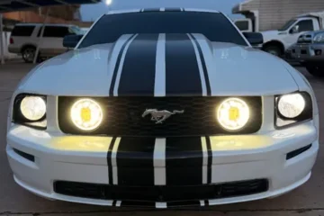 Mustang