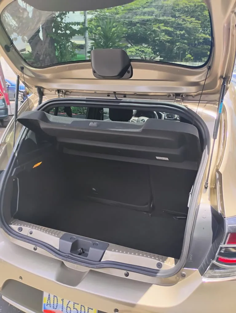 Renault Stepway 2024 beige8