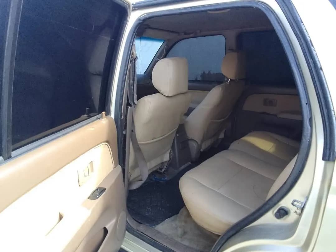 Toyota 4Runner SR5 Sport Wagon 2002 dorado