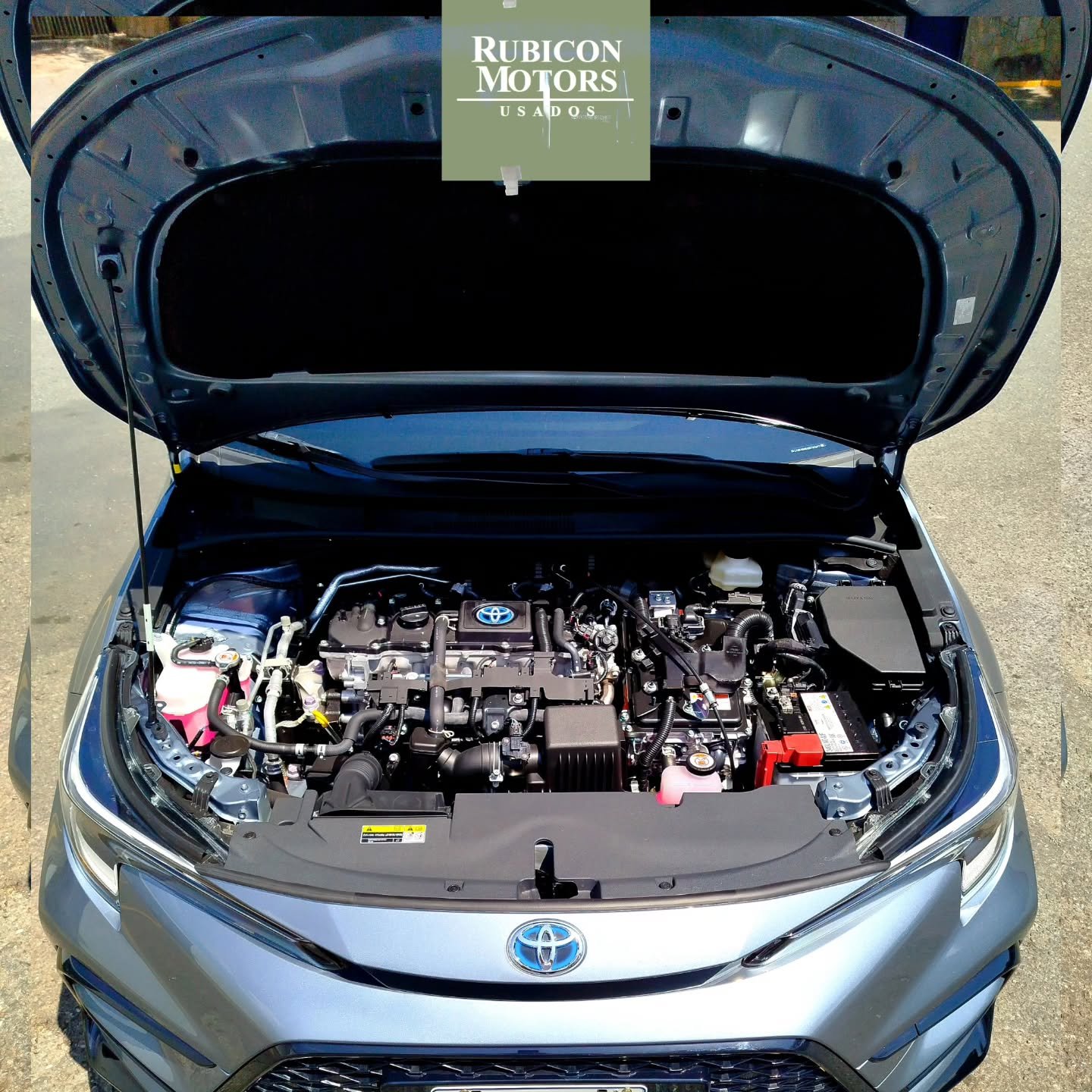 Toyota Corolla Hybrid 2024 Gris