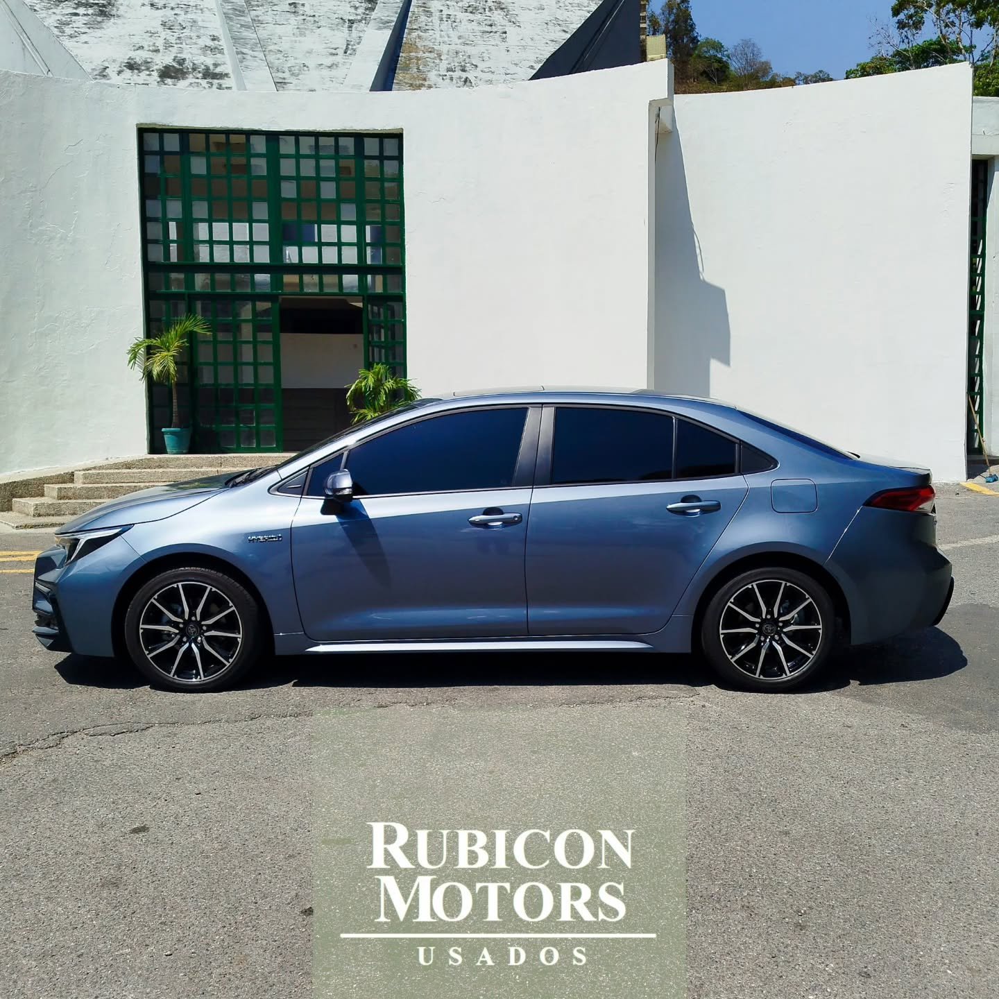 Toyota Corolla Hybrid 2024 Gris