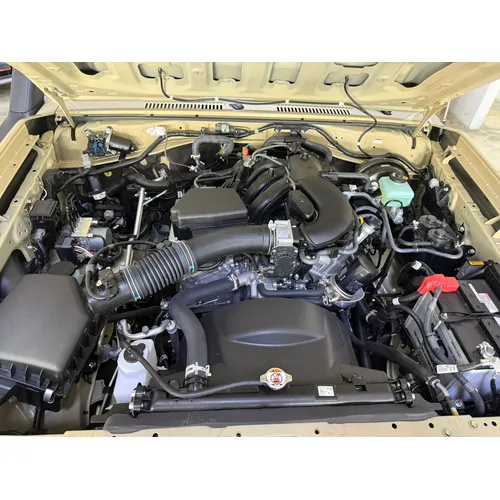 Toyota Land Cruiser 76 Hembrita 2024 Beige Valencia
