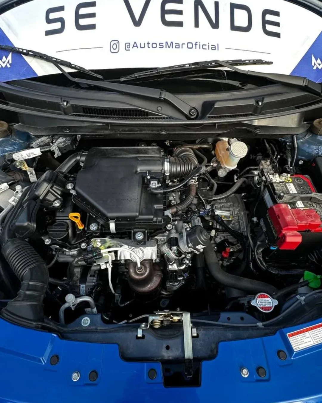 Suzuki 2025 Azul Caracas
